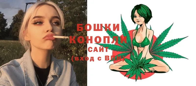 Конопля OG Kush  даркнет официальный сайт  Новосибирск 